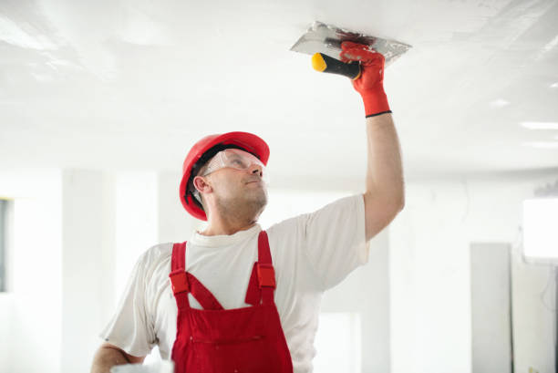 Best Interior Painting  in Ocean Springs, MS