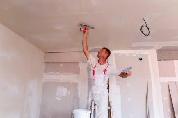 Best Drywall Removal and Disposal  in Ocean Springs, MS