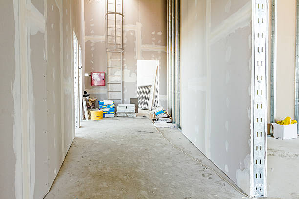 Best Water-Damaged Drywall Repair  in Ocean Springs, MS